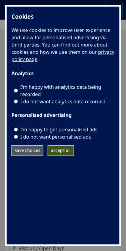 Screenshot of the audited page (Mobile 375×812)