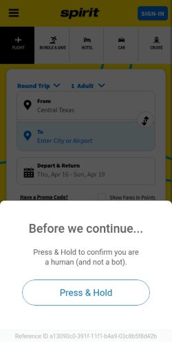 Screenshot of the audited page (Mobile 375×812)