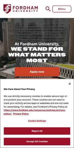 Screenshot of the audited page (Mobile 375×812)
