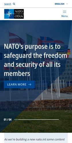 Screenshot of the audited page (Mobile 375×812)