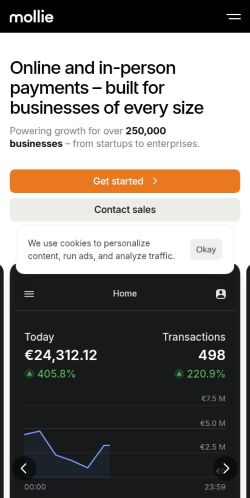 Screenshot of the audited page (Mobile 375×812)