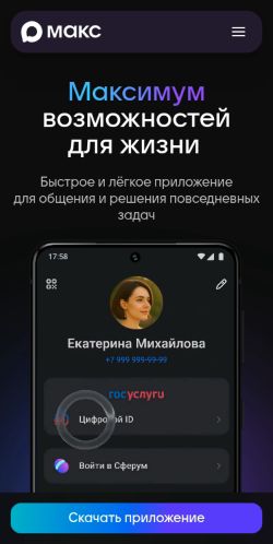 Screenshot of the audited page (Mobile 375×812)