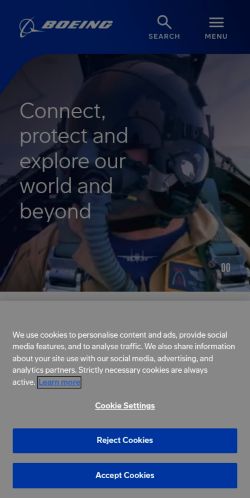 Screenshot of the audited page (Mobile 375×812)