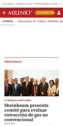 Screenshot of the audited page (Mobile 375×812)