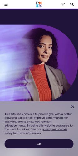 Screenshot of the audited page (Mobile 375×812)
