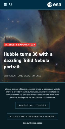 Screenshot of the audited page (Mobile 375×812)