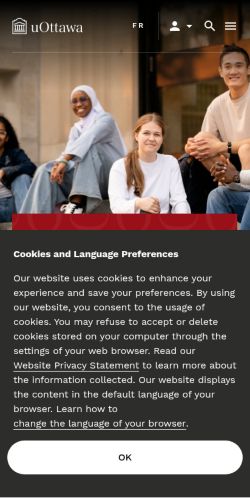 Screenshot of the audited page (Mobile 375×812)