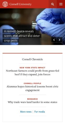 Screenshot of the audited page (Mobile 375×812)