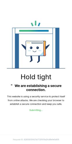 Screenshot of the audited page (Mobile 375×812)