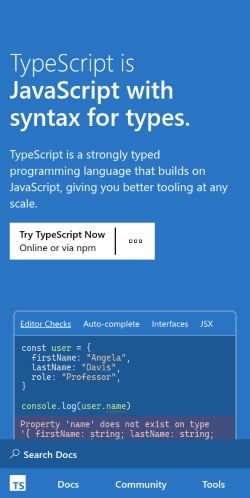 Screenshot of the audited page (Mobile 375×812)
