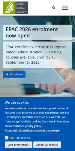 Screenshot of the audited page (Mobile 375×812)
