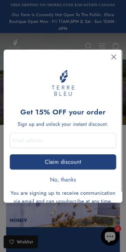 Screenshot of the audited page (Mobile 375×812)