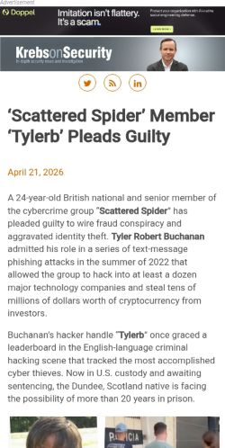 Screenshot of the audited page (Mobile 375×812)