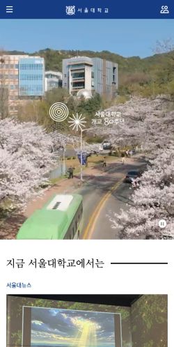 Screenshot of the audited page (Mobile 375×812)