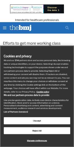 Screenshot of the audited page (Mobile 375×812)