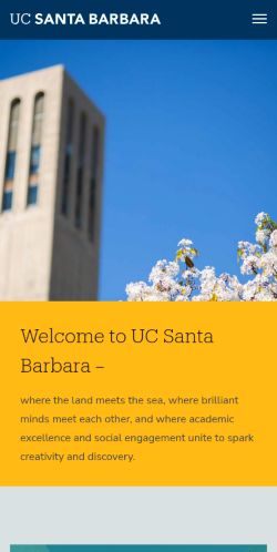 Screenshot of the audited page (Mobile 375×812)