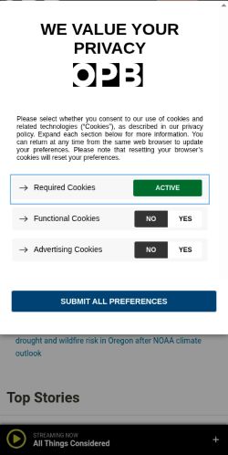 Screenshot of the audited page (Mobile 375×812)