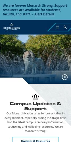Screenshot of the audited page (Mobile 375×812)