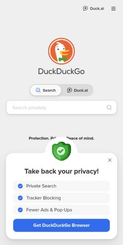 Screenshot of the audited page (Mobile 375×812)