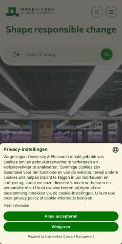 Screenshot of the audited page (Mobile 375×812)