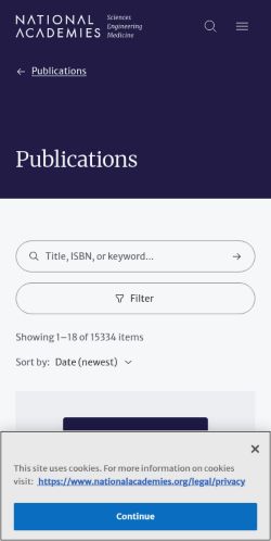 Screenshot of the audited page (Mobile 375×812)