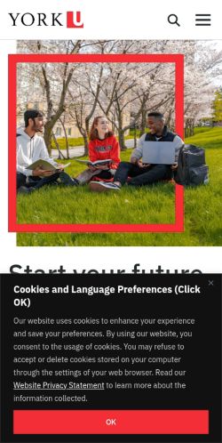 Screenshot of the audited page (Mobile 375×812)