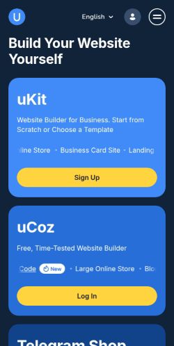 Screenshot of the audited page (Mobile 375×812)