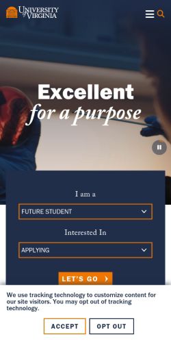 Screenshot of the audited page (Mobile 375×812)