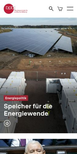 Screenshot of the audited page (Mobile 375×812)