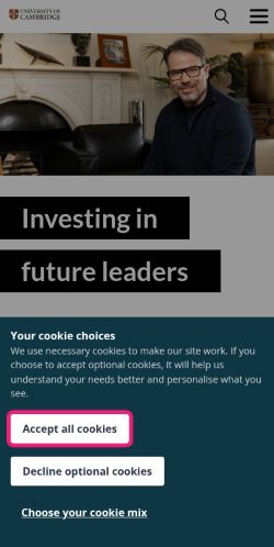 Screenshot of the audited page (Mobile 375×812)
