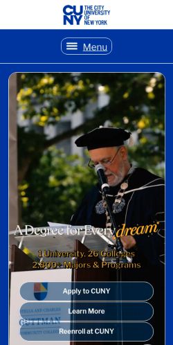 Screenshot of the audited page (Mobile 375×812)