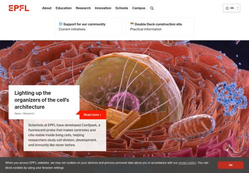 Screenshot of the audited page (Desktop 1440×900)