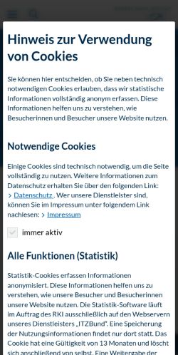 Screenshot of the audited page (Mobile 375×812)
