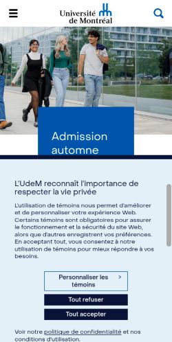 Screenshot of the audited page (Mobile 375×812)