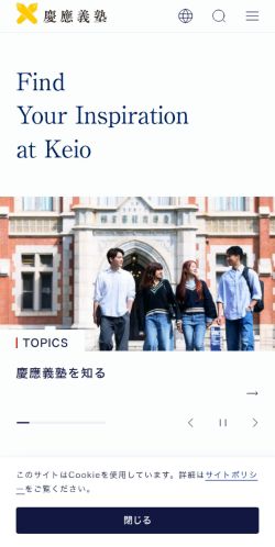 Screenshot of the audited page (Mobile 375×812)