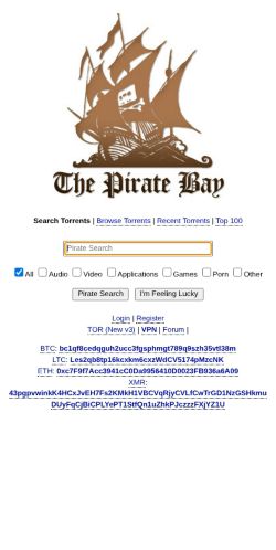 Screenshot of the audited page (Mobile 375×812)