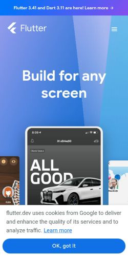 Screenshot of the audited page (Mobile 375×812)