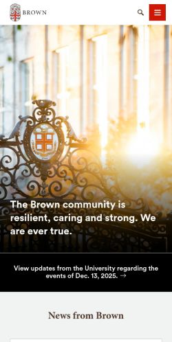 Screenshot of the audited page (Mobile 375×812)