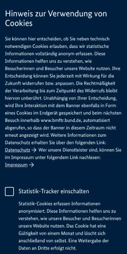 Screenshot of the audited page (Mobile 375×812)