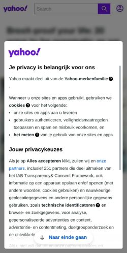 Screenshot of the audited page (Mobile 375×812)