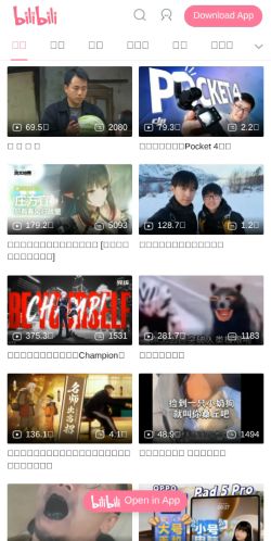 Screenshot of the audited page (Mobile 375×812)