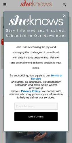 Screenshot of the audited page (Mobile 375×812)