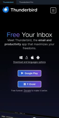 Screenshot of the audited page (Mobile 375×812)