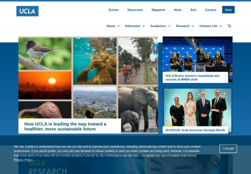 Screenshot of the audited page (Desktop 1440×900)