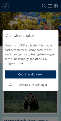 Screenshot of the audited page (Mobile 375×812)