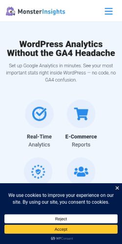 Screenshot of the audited page (Mobile 375×812)