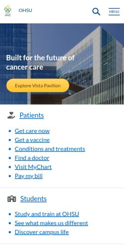 Screenshot of the audited page (Mobile 375×812)