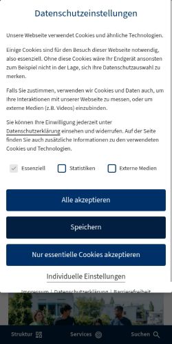 Screenshot of the audited page (Mobile 375×812)