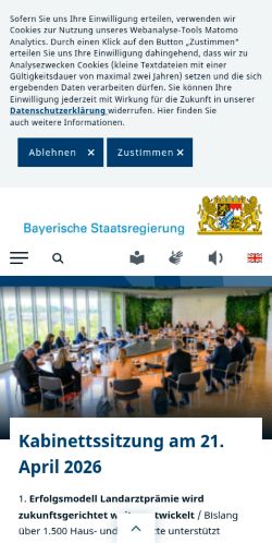 Screenshot of the audited page (Mobile 375×812)