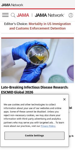 Screenshot of the audited page (Mobile 375×812)